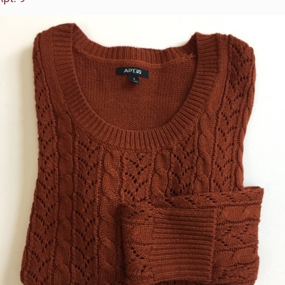 NWOT Burnt orange knit sweater
